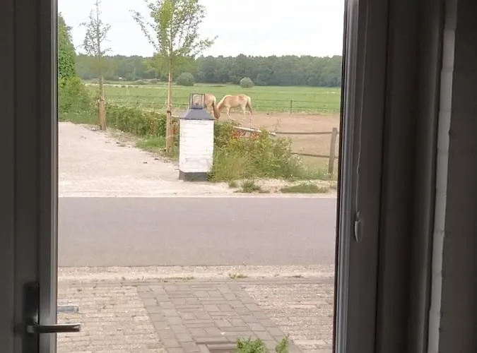 De Kuiperij شقة *